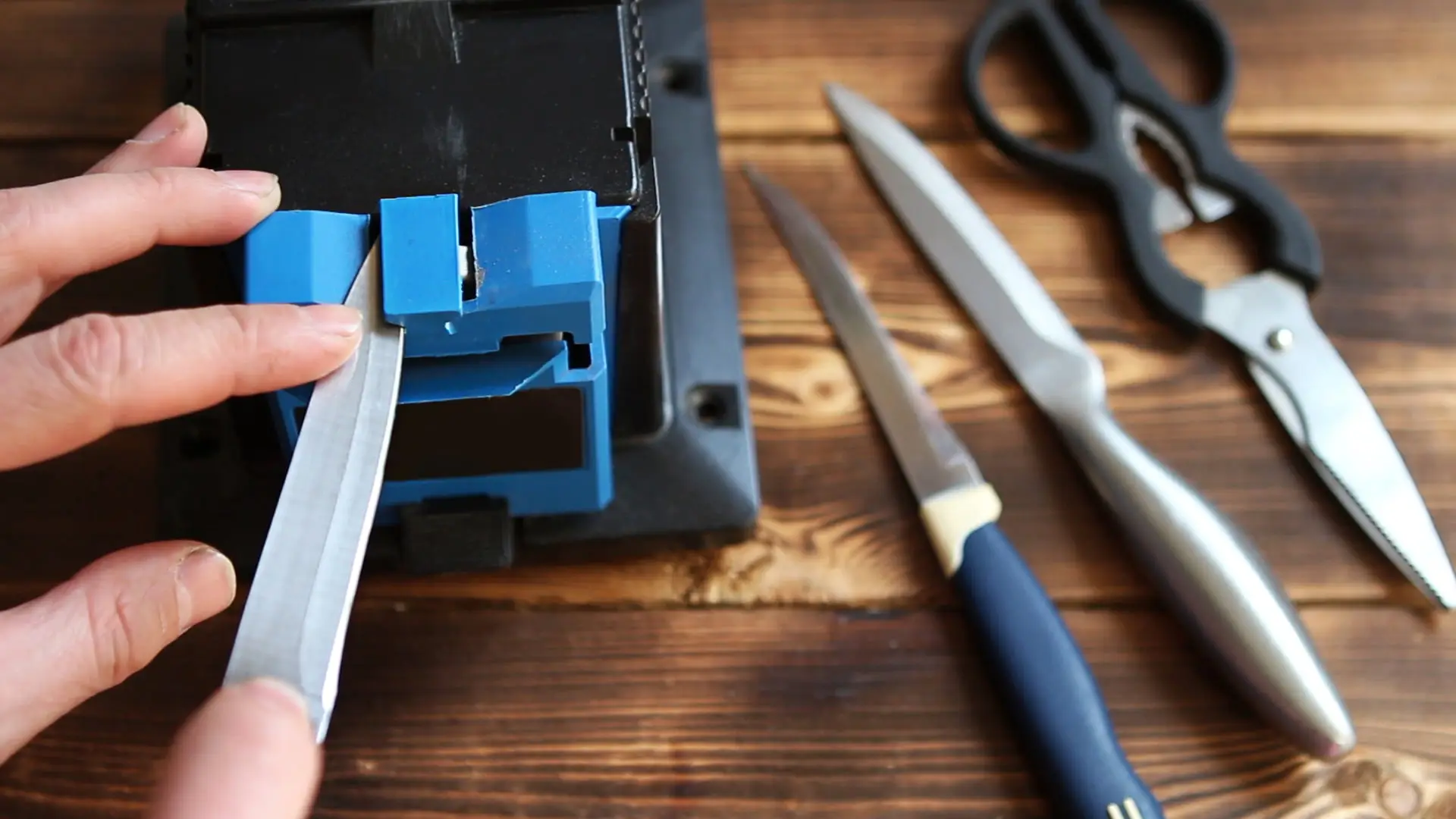 Knife being sharpened on a sharpener Sharper Focus Ltd Bristol